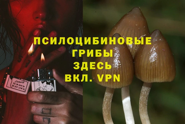 марки nbome Аркадак
