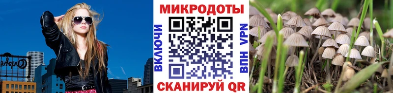 Галлюциногенные грибы Magic Shrooms Талица