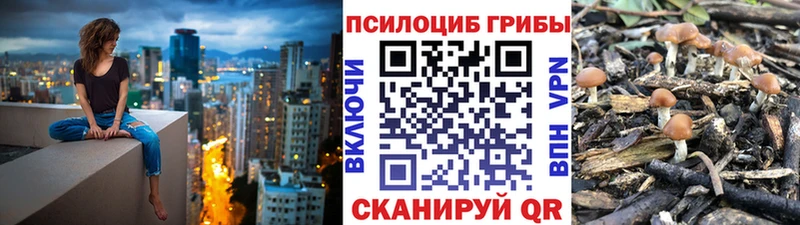 Псилоцибиновые грибы MAGIC MUSHROOMS  Талица 